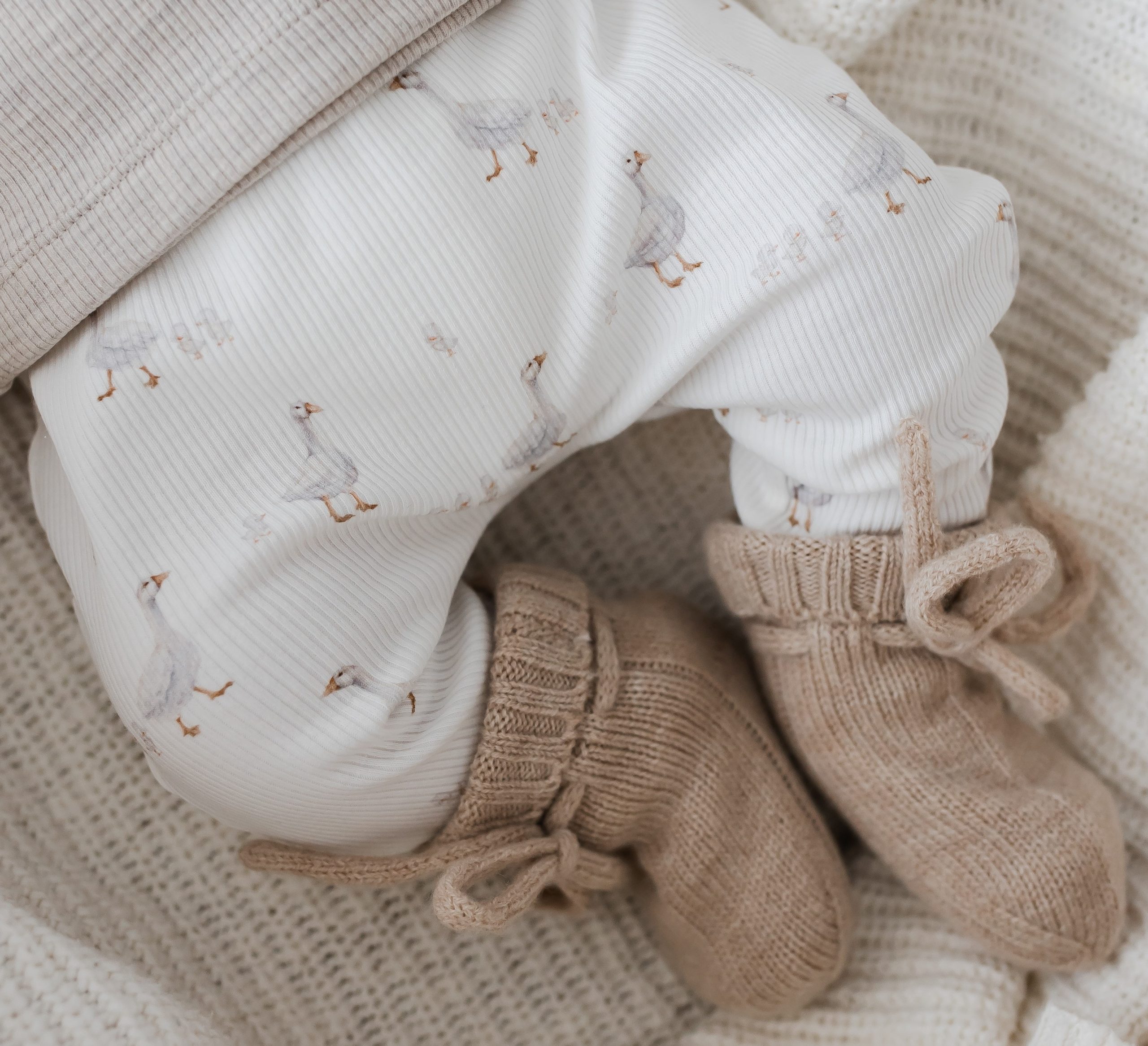 Newborn babybroekje met kleine gansjes